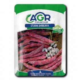  فاصوليا حمراء تركية  ( 25  غرام  ) 