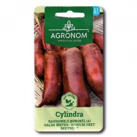  شمندر احمر طويل سايلندرا 