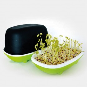  صينية استنبات  بيضاوية مع غطاء 