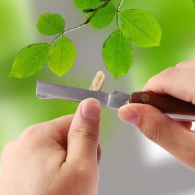  سكين تطعيم للمحترفين مقبض خشبي 