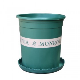  أصيص أخضر مع صحن 28 سم 