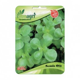  بقلة بربير تركي 10 غرام 