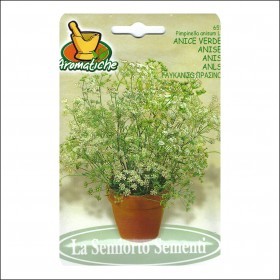  يانسون ايطالي 