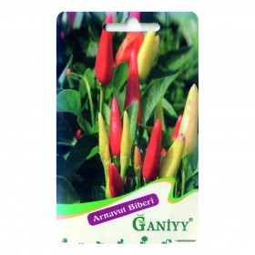  فلفل ملون  تركي 