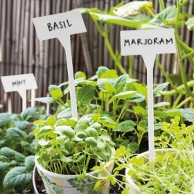  ليبل بلاستيك طويل 40 سم 