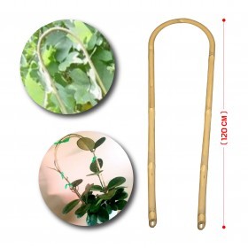  ( 120 CM ) u بامبو لتعليق النباتات  حرف 