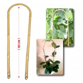  ( 90 CM ) u بامبو لتعليق النباتات  حرف 