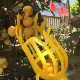  قطافة فواكة كبيرة 