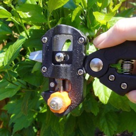  مقص تطعيم الأشجار 