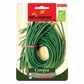  لوبياء طويلة 