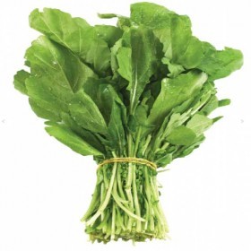  بذور جرجيرحساوي عضوي ( ٢٠ غرام ) 