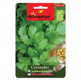  كزبرة خضراء 