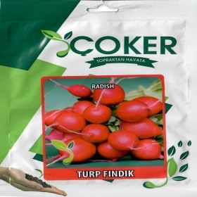  بذور فجل تركي 