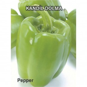  دولما فلفل بارد تركي 