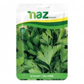  بقدونس إيطالي عملاق 10 غرام 