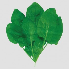  سبانخ بالاك هندي 15 غرام 