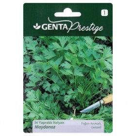  بقدونس تركي 