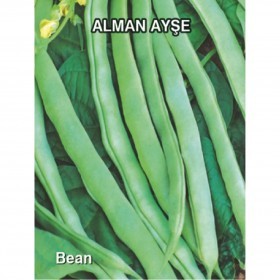  فاصوليا عائش الالمانية 