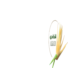  شيلات  حديد   % 6 ( ١ كيلو ) 