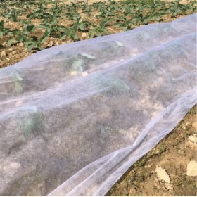  غطاء حماية النباتات بالمتر عرض 1.5 متر 