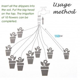  منقط عشر رؤوس 