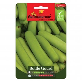  قرع أخضر طويل 