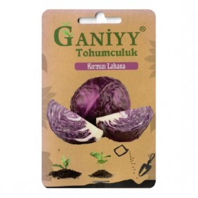  ملفوف بنفسجي تركي 