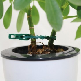  بلاستيك تربيط 17 سم ( عدد 25 ) 