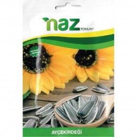  دوارالشمس الأسود التركي 