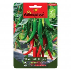  فلفل حار أحمر تايلندي 