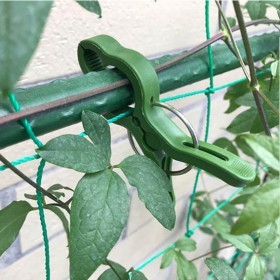  كلبس كبير قوي عدد 5 