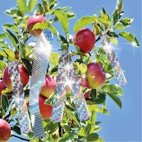  شريط ليزر طارد للطيور ( 50 متر ) 