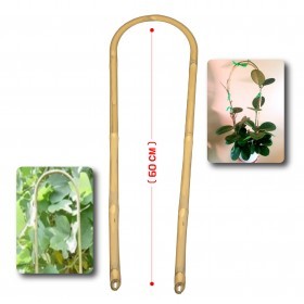  ( 60 CM ) u بامبو لتعليق النباتات  حرف 