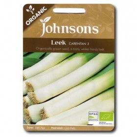  كراث انجليزي 