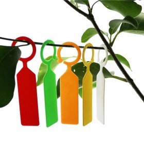  ليبل بلاستيك حلقة 