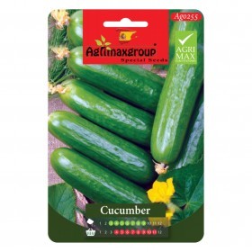  خيار بيتا الفا 