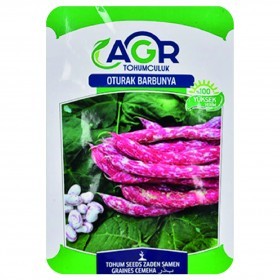  فاصوليا حمراء تركية 