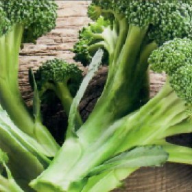  بروكلي انجليزي 