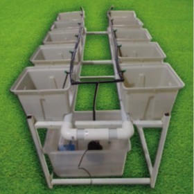  نظام زراعة مائية 10 دتش بوكت 