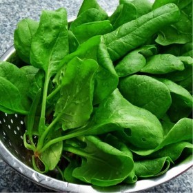  سبانخ حساوي (20 غرام ) 