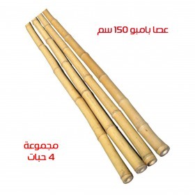  عصا بامبو 150 سم ( 4 قطع ) 