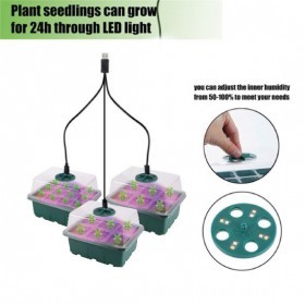  صواني تشتيل 12 عين (عدد 3) مع اضاءة 