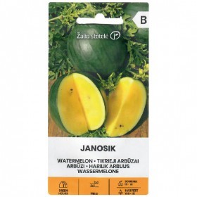  بطيخ اصفر جانوسيك 