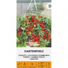  طماطم جاردن لؤلؤي 