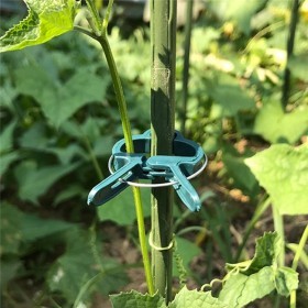  كلبس ربط النباتات حجم صغير 