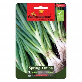  بصل أخضر ورقى 