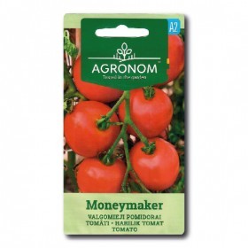  طماطم صانعة الأموال 