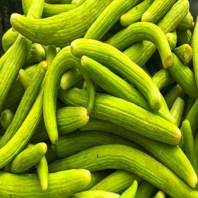  فقوس -  طروح  أخضراسباني 25 بذرة 