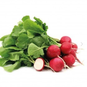  بذور فجل حساوي( ٢٠ غرام ) 