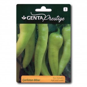  بذور الفلفل الأخضر  التركي 